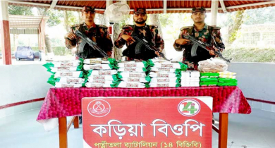 পাঁচবিবি সীমান্তে বিপুল পরিমাণ ভারতীয় পণ্য আটক