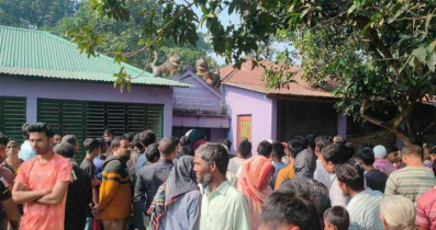 তারাগঞ্জে মুক্তিযোদ্ধা দম্পতিকে গলা কেটে হত্যা