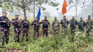 সীমান্তে বিএসএফের বেড়া নির্মাণের চেষ্টা রুখে দিল বিজিবি