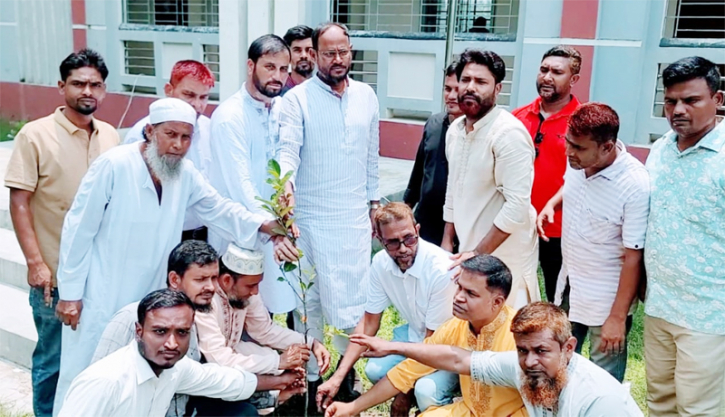 টাঙ্গাইলে বিভিন্ন শিক্ষা প্রতিষ্ঠানে টুকুর বৃক্ষরোপণ