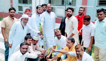 টাঙ্গাইলে বিভিন্ন শিক্ষা প্রতিষ্ঠানে টুকুর বৃক্ষরোপণ