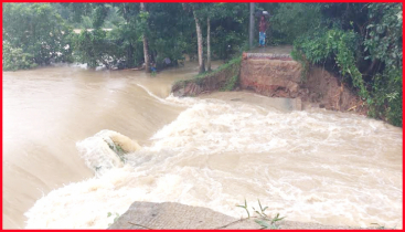 ফেনীতে বাঁধ ভেঙ্গে চার গ্রাম প্লাবিত