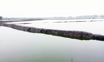 সরকারি খালে বাঁধ দিয়ে মাছ চাষ, জলাবদ্ধতার আশঙ্কা 