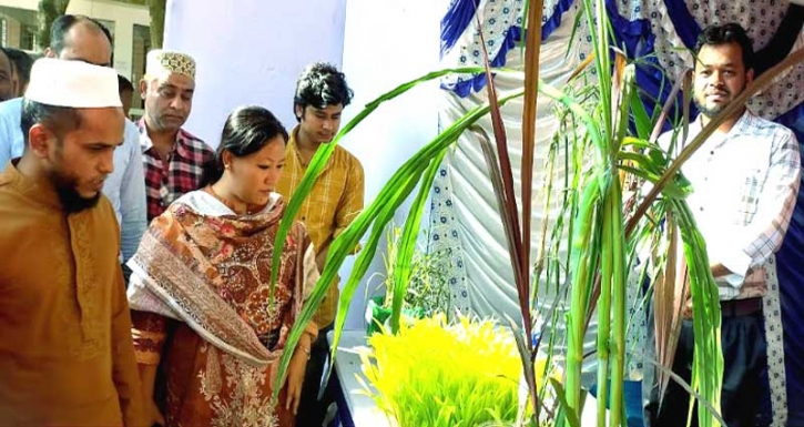 হোমনায় প্রাণিসম্পদ সপ্তাহ ও প্রদর্শনী অনুষ্ঠিত