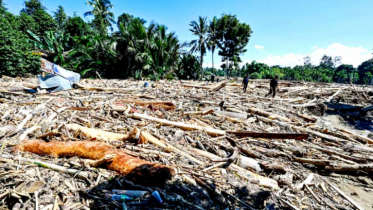 ইন্দোনেশিয়ায় বন্যা ও ভূমিধসে নিহত ৪৪২