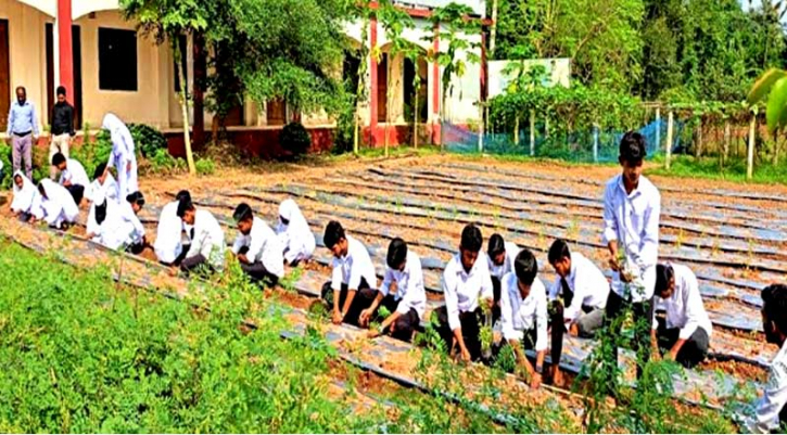 টাঙ্গাইলের মহিষমারা কলেজে খুন্তি-কোদালে তরুণদের নতুন বিপ্লব!