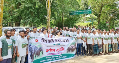  শেরপুরের গারো পাহাড়ে বিশ্ব হাতি দিবস পালিত