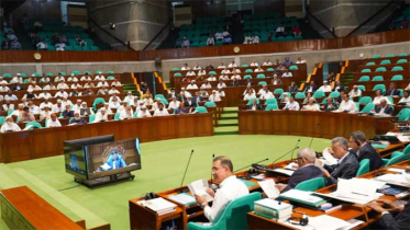 দলীয় সিদ্ধান্তের বাইরে গিয়ে ভোট দিলে সংসদ সদস্য পদ বাতিল 