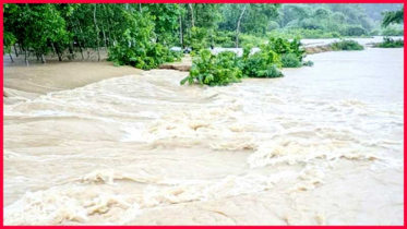 ১২ জেলায় স্বল্পমেয়াদী বন্যার শঙ্কা