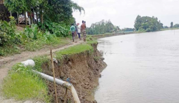 শেরপুরে মৃগী নদীর ভয়াবহ ভাঙনের কবলে চরমধুয়া গ্রাম