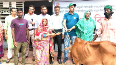 পাঁচবিবিতে অসহায় দরিদ্র মহিলাদের মাঝে গরু বিতরণ