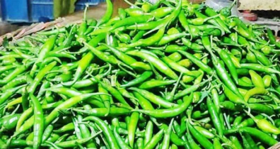 কাঁচামরিচের দাম ২ থেকে ৫ দিনের মধ্যে কমবে: কৃষিমন্ত্রী