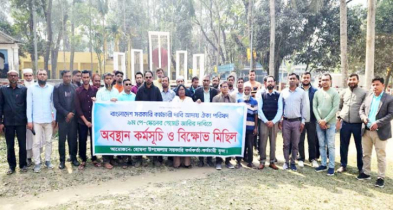 হোমনায় ৯ম পে-স্কেলের দাবিতে সরকারি কর্মচারীদের অবস্থান কর্মসূচি