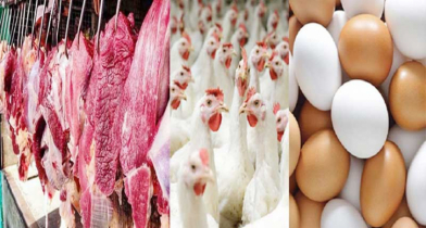 রোজায় ৬৫০ টাকায় গরুর মাংস বিক্রি করবে সরকার