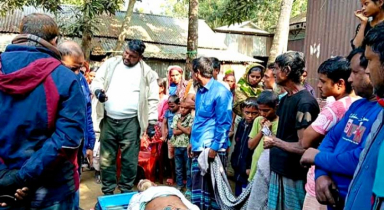শেরপুর গারো পাহাড়ে বন্যহাতির আক্রমণে বৃদ্ধের মৃত্যু 