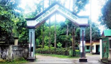 টাঙ্গাইলের মির্জাপুরে পাহাড়ি টিলা কাটায় ৪ ব্যবসায়ীকে জরিমানা