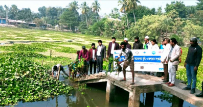 ঐতিহ্যবাহী সরল খাঁ দীঘির কচুরিপানা অপসারণ 