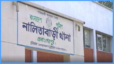 নালিতাবাড়ীতে অটোরিকশা চাপায় শিশুর মৃত্যু