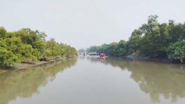 সুন্দরবনে পাঁচ জেলেকে অপহরণ, মুক্তিপণ দাবি 