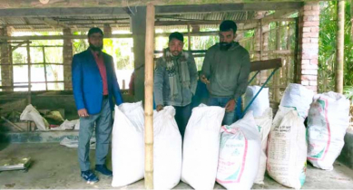   পাইকগাছায় ব্যবহার বেড়েছে ভার্মি কম্পোস্ট সার