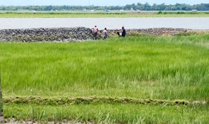 কপোতাক্ষের জেগে ওঠা জমি দখলে বেপরোয়া,জরুরি হস্তক্ষেপ কামনা