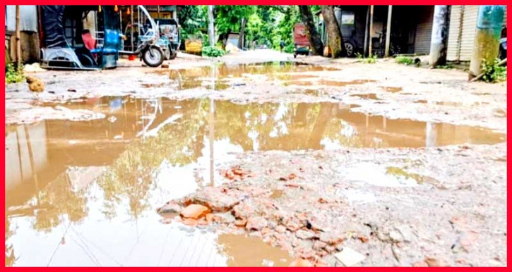 শেরপুর-গাজীরখামার-নালিতাবাড়ী সড়কের বেহাল দশা,দুর্ভোগে লাখো মানুষ