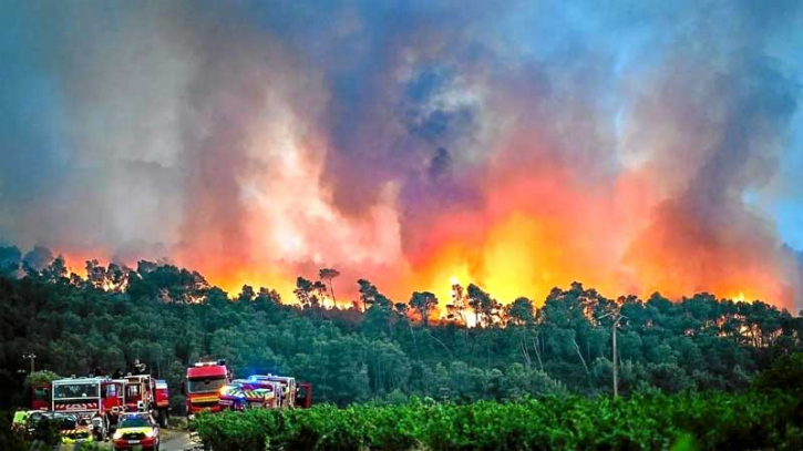 তাপপ্রবাহে বিপর্যস্ত ফ্রান্স, দাবানলে পুড়ছে বনাঞ্চল