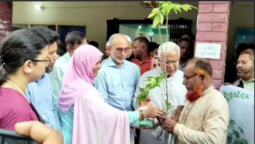 দিনাজপুরে কৃষকদের মাঝে তুলার চারা ও প্রণোদনা বিতরণ  