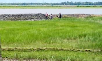 কপোতাক্ষের জেগে ওঠা জমি দখলে বেপরোয়া,জরুরি হস্তক্ষেপ কামনা