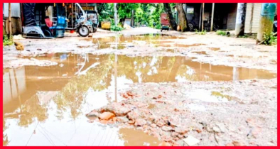 শেরপুর-গাজীরখামার-নালিতাবাড়ী সড়কের বেহাল দশা,দুর্ভোগে লাখো মানুষ