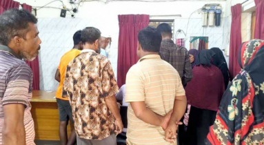 নকলায়  পাগলা কুকুরের কামড়ে শিশুসহ আহত ২৯