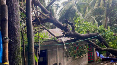 সোনাগাজীতে হঠাৎ টর্নেডোর তাণ্ডব
