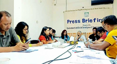 ৩৪ টুথপেস্টের ২৬টিতেই বিষের ছোবল,পাওয়া গেছে মাইক্রোপ্লাস্টিক