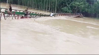 শেরপুরে পানির তোড়ে ব্রিজ ভেঙে নদীতে, রক্ষা পেলো মানুষ