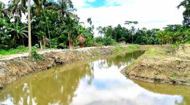 রাজাপুরে খাল পুনঃখননে ফিরছে কৃষিজমির প্রাণ