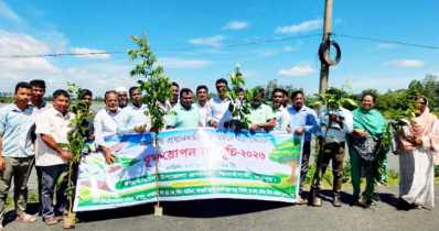 ঝিনাইগাতীতে বৃক্ষরোপণ কর্মসূচি