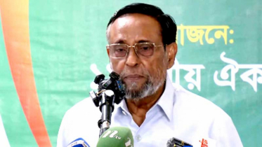 প্রধানমন্ত্রীকে ঢাকার বাইরে রাত্রিযাপন না করার পরামর্শ কর্নেল অলি