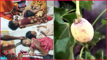 মেহেরপুরে কাঠবাদাম ভেবে বিষাক্ত ফল খেয়ে ১৪ শিশু অসুস্থ