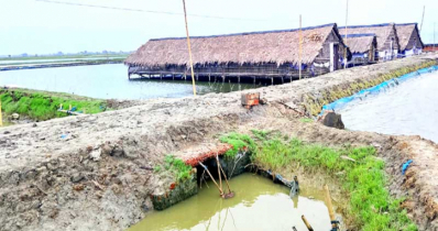  পাইকগাছায় ২কিঃমিঃ রাস্তায় ৯০ ফুট কাঁচায় জনদুর্ভোগ চরমে! 