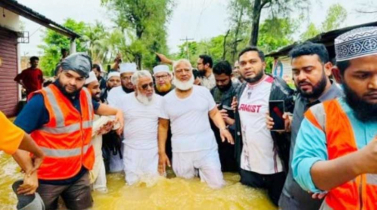 দুর্যোগে মানুষের পাশে দাঁড়ানো আমাদের দায়িত্ব: জামায়াত আমির