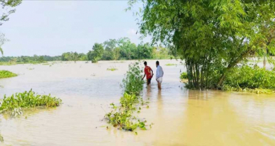 মনু নদীর পানি বিপদসীমার ওপরে, বাঁধ ভেঙে প্লাবিত ১৫ গ্রাম