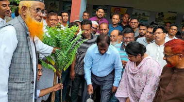 লোহাগড়ায় শিক্ষার্থীদের মাঝে গাছের চারা বিতরণ ও ফলজ বাগান উদ্বোধন