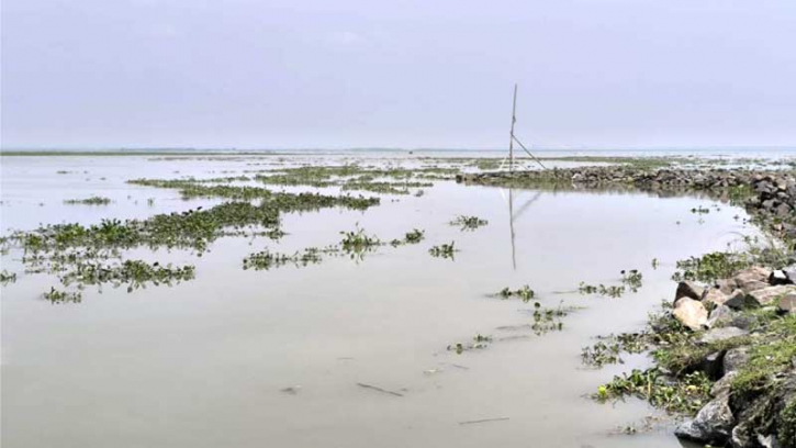  বেড়েছে যমুনার পানি, প্লাবিত হচ্ছে চরাঞ্চল