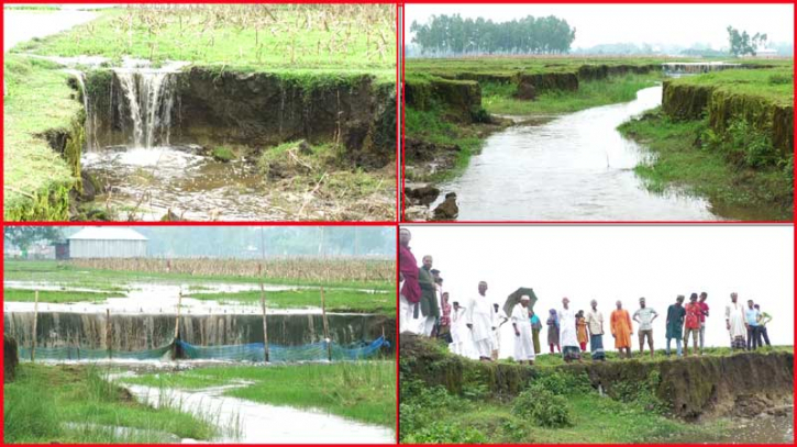 উজানের ঢলে বিলীন ফসলি জমি, দিশেহারা কৃষক