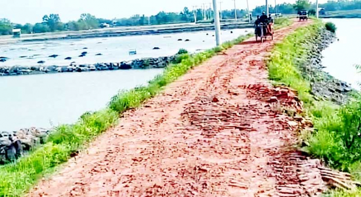 দুই যুগ সড়ক সংস্কার না হওয়ায় চরম ভোগান্তি!