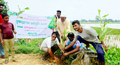পাঁচবিবিতে সামাজিক বনায়ন কর্মসূচীর উদ্বোধন