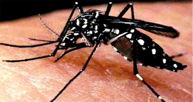 ডেঙ্গুতে দুইজনের মৃত্যু