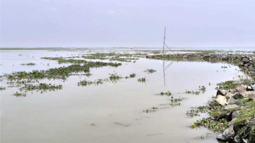  বেড়েছে যমুনার পানি, প্লাবিত হচ্ছে চরাঞ্চল