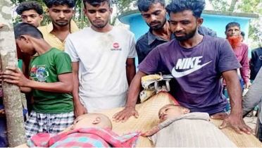 নড়াইলে পুকুরে ডুবে আপন দুই ভাইয়ের মৃত্যু