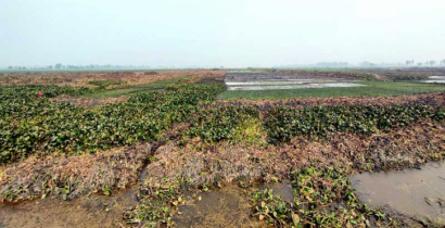 রক্তদহ বিল খননে মিলবে বাড়তি ১৭০ কোটি টাকার ফসল